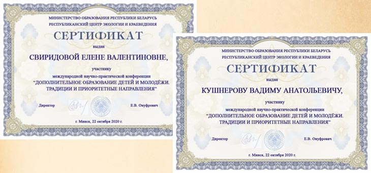 Дополнительное образование детей и молодежи. Традиции и приоритетные направления развития.